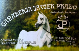 ganaderia_javier_prado